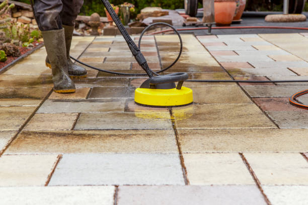 Animal Enclosure Cleaning in Country Walk, FL